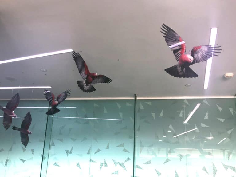 Acrylic Birds - hanging