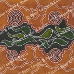 Indigenous - River Red Gum